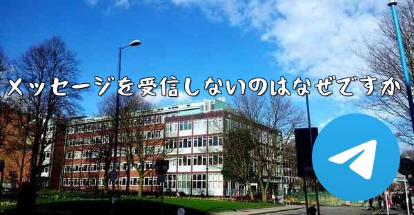 Paper Plane が確認テキスト メッセージを受信しないのはなぜですか