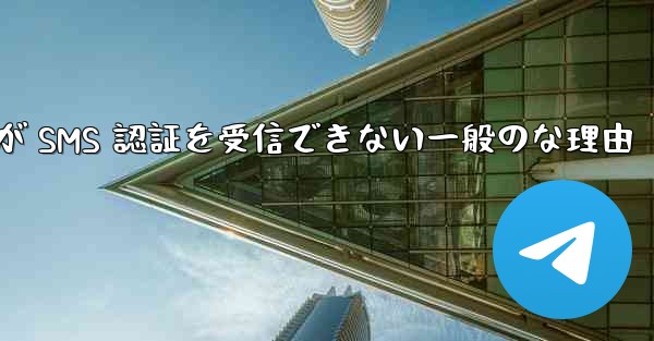 Paper Plane が SMS 認証を受信できない一般のな理由