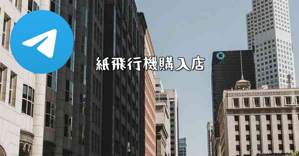 紙飛行機購入店