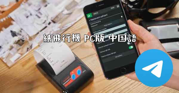 紙飛行機 PC版 中国語