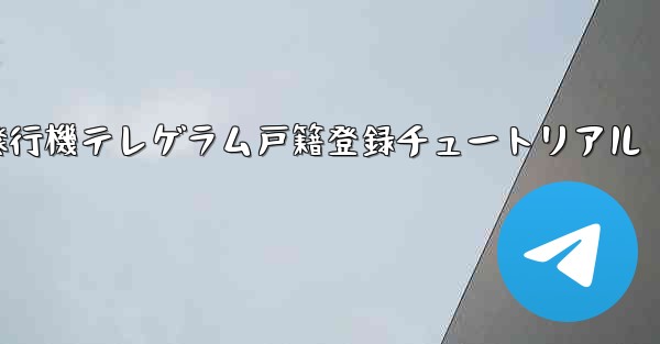 紙飛行機テレゲラム戸籍登録チュートリアル