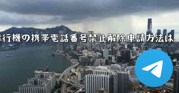 紙飛行機の携帯電話番号禁止解除申請方法は