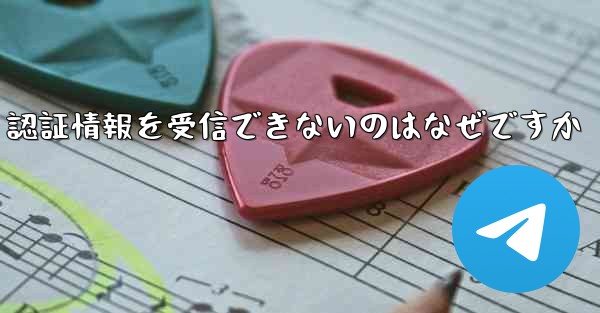 Paper Plane が SMS 認証情報を受信できないのはなぜですか