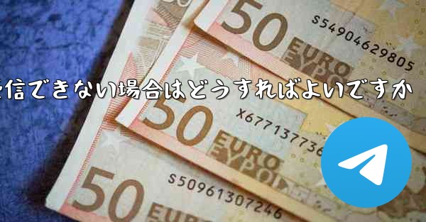 Paper Plane が国内で認証コードを受信できない場合はどうすればよいですか