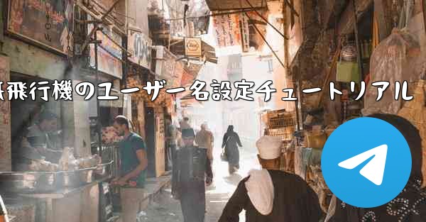 紙飛行機のユーザー名設定チュートリアル