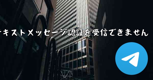 紙飛行機は海外のテキストメッセージ認証を受信できません