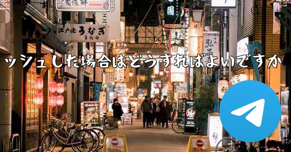 Paper Plane telegeram の登録がクラッシュした場合はどうすればよいですか