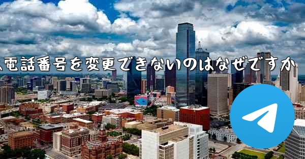 Paper Plane では電話番号を変更できないのはなぜですか