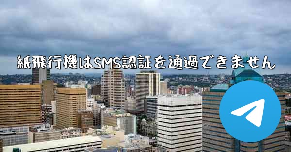 紙飛行機はSMS認証を通過できません