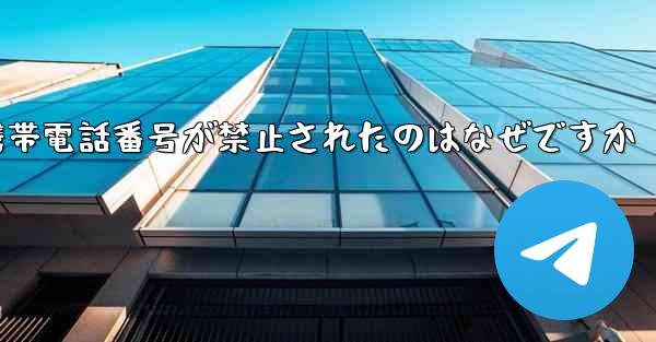 Paper Plane の携帯電話番号が禁止されたのはなぜですか