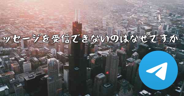 Paper Plane が確認テキスト メッセージを受信できないのはなぜですか