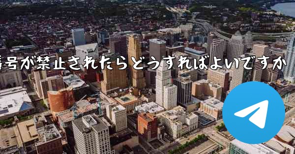 私の紙飛行機の番号が禁止されたらどうすればよいですか