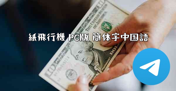 紙飛行機 PC版 簡体字中国語