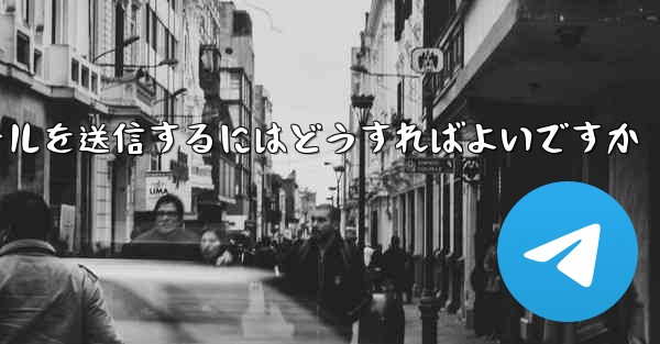 Paper Plane では SMS 認証を受信できませんメールを送信するにはどうすればよいですか