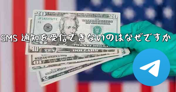 紙飛行機が SMS 通知を受信できないのはなぜですか