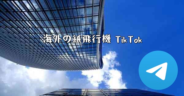海外の紙飛行機 TikTok