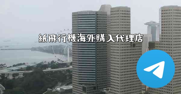 紙飛行機海外購入代理店