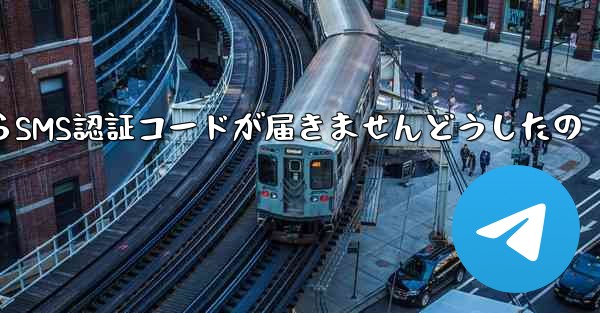 Paper PlaneからSMS認証コードが届きませんどうしたの