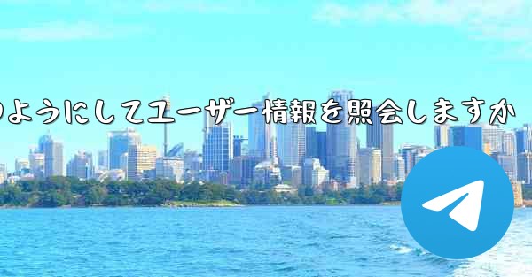 Paper Plane はどのようにしてユーザー情報を照会しますか