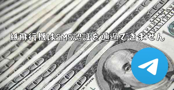 紙飛行機はSMS認証を通過できません