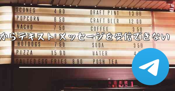 Paper Plane 中国番号 iOS からテキスト メッセージを受信できない