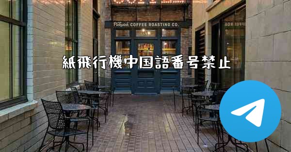 紙飛行機中国語番号禁止