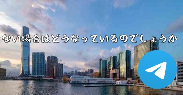 Paper Plane が SMS 認証コードを受信できない場合はどうなっているのでしょうか