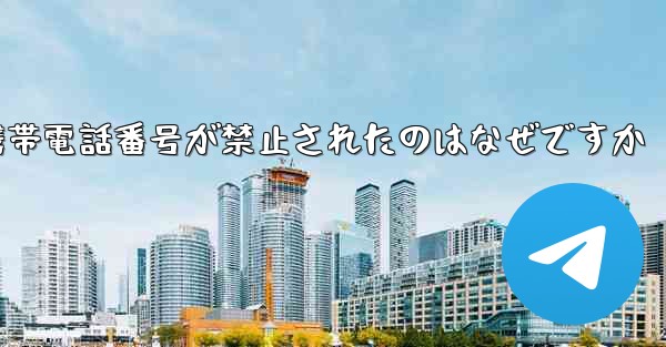 Paper Plane の携帯電話番号が禁止されたのはなぜですか