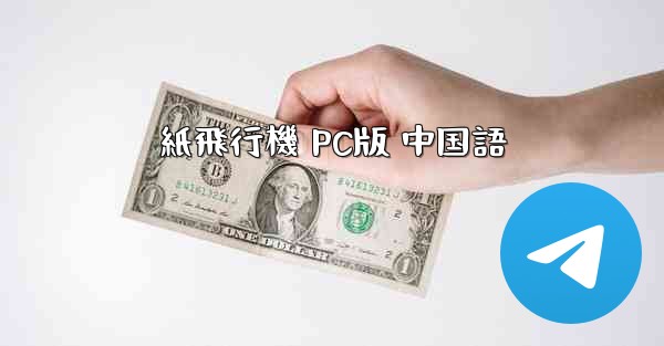 紙飛行機 PC版 中国語