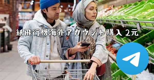 紙飛行機海外アカウント購入 2元