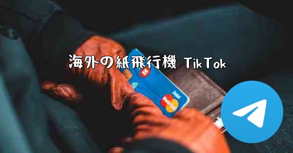 海外の紙飛行機 TikTok