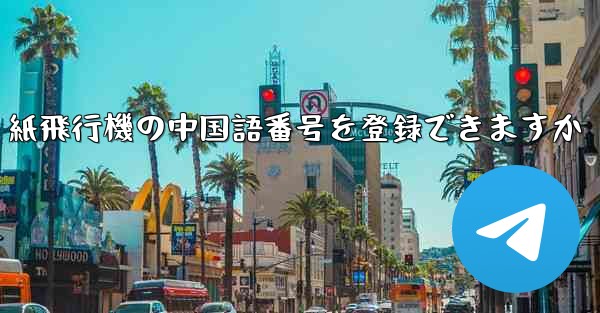 紙飛行機の中国語番号を登録できますか