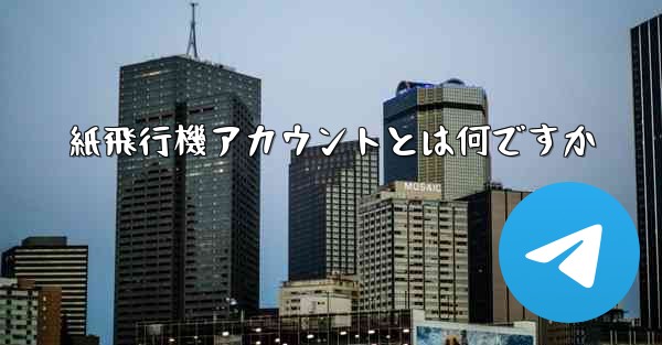 紙飛行機アカウントとは何ですか