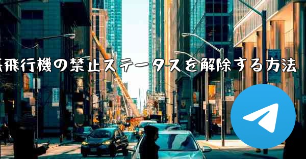 紙飛行機の禁止ステータスを解除する方法