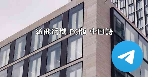 紙飛行機 PC版 中国語
