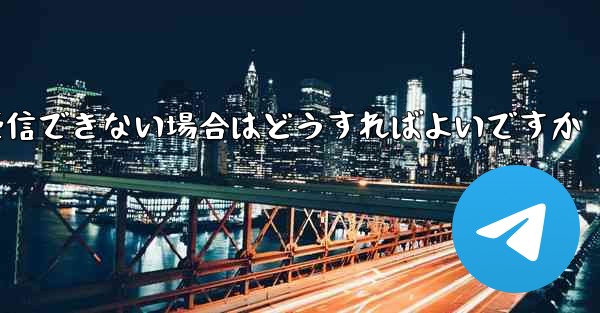Paper Plane で SMS 認証コードを受信できない場合はどうすればよいですか