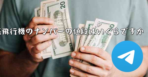 紙飛行機のナンバーの値段はいくらですか