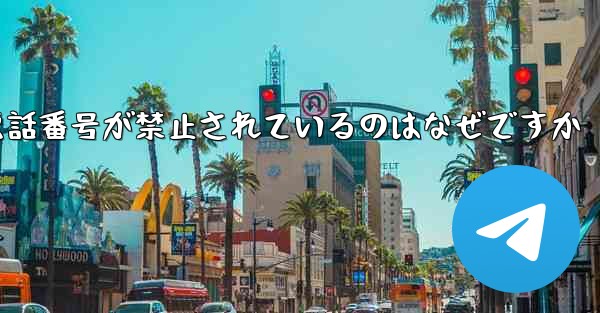 Paper Plane の携帯電話番号が禁止されているのはなぜですか