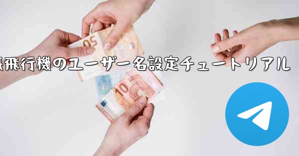 紙飛行機のユーザー名設定チュートリアル