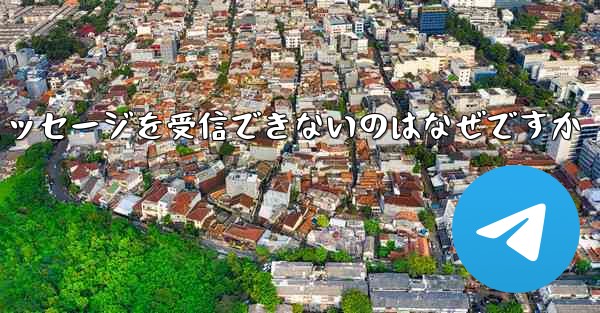 Paper Plane が確認テキスト メッセージを受信できないのはなぜですか