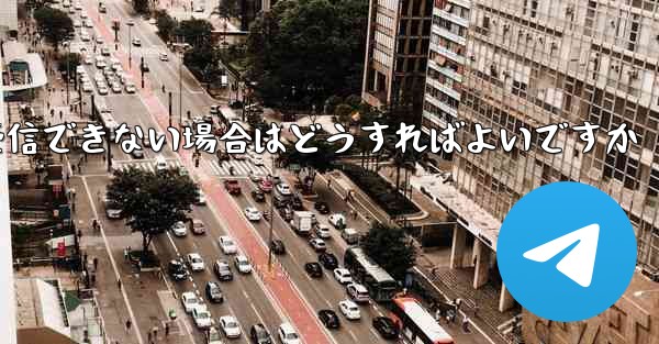 Paper Plane が国内で認証コードを受信できない場合はどうすればよいですか