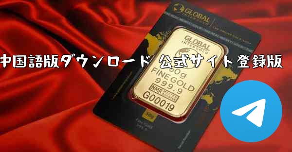 Paper Plane 中国語版ダウンロード 公式サイト登録版