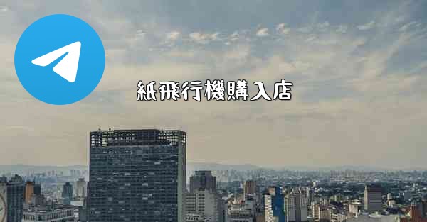 紙飛行機購入店