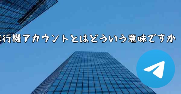 紙飛行機アカウントとはどういう意味ですか