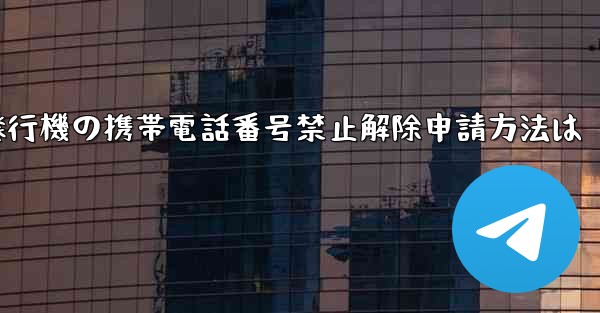 紙飛行機の携帯電話番号禁止解除申請方法は