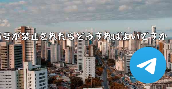 私の紙飛行機の携帯電話番号が禁止されたらどうすればよいですか