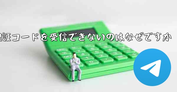 Paper Plane が認証コードを受信できないのはなぜですか