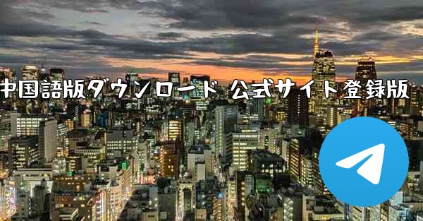 Paper Plane 中国語版ダウンロード 公式サイト登録版