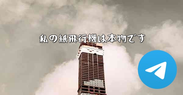 私の紙飛行機は本物です