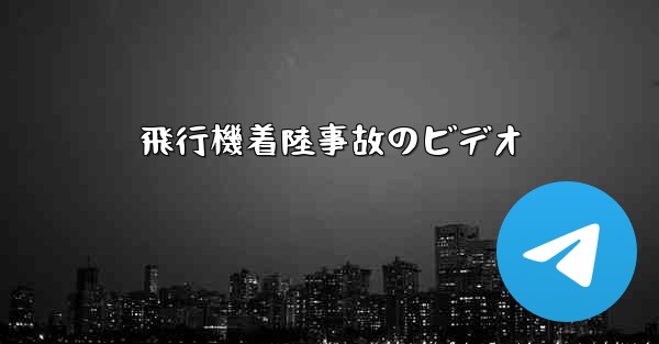 飛行機着陸事故のビデオ